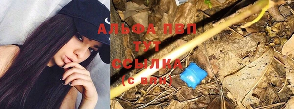тгк Абинск