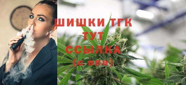 тгк Абинск