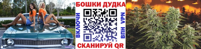 МАРИХУАНА семена Кинешма